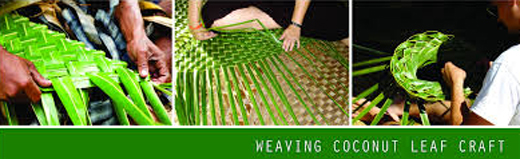 coconut craft 